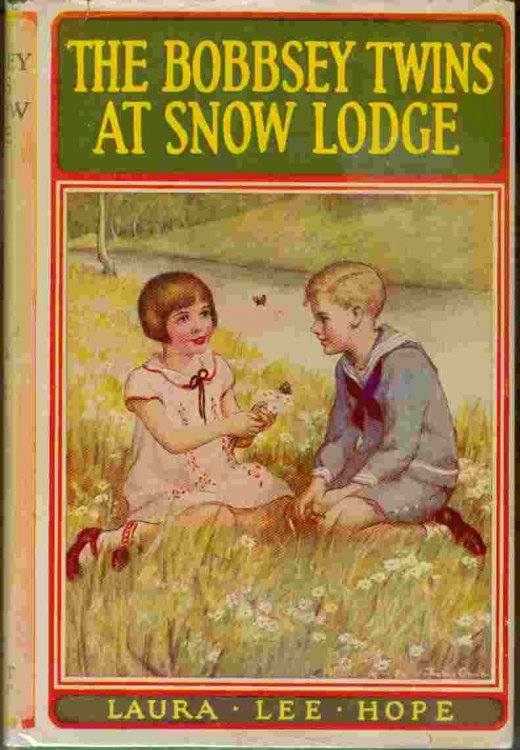 The Bobbsey Twins at Snow Lodge