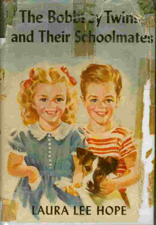 The Bobbsey Twins and Their Schoolmates