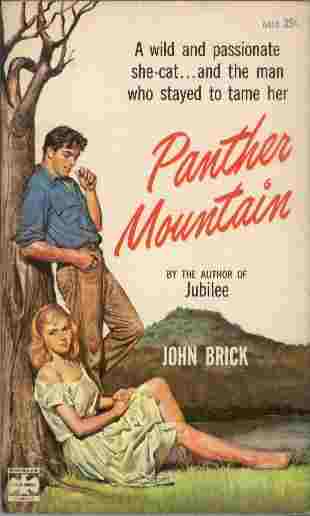 Panther Mountain - A wild and passionate she-cat. and the man who stayed to tame her