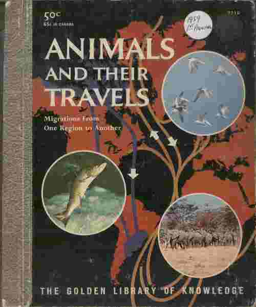 Animals and Their Travels - Migrations from one region to another