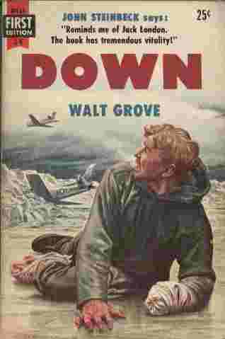 Down - The tension had been building up in the squadron all through the long cold winter, and that afternoon it broke wide open.
