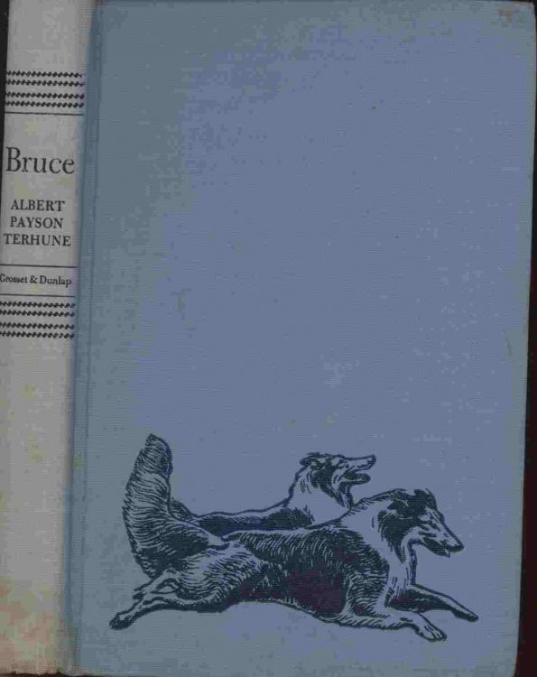 Bruce