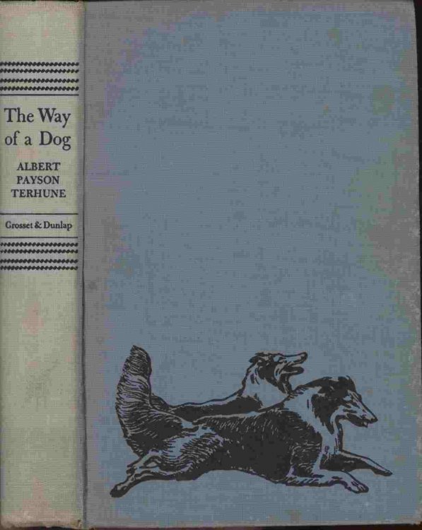 The Way of a Dog