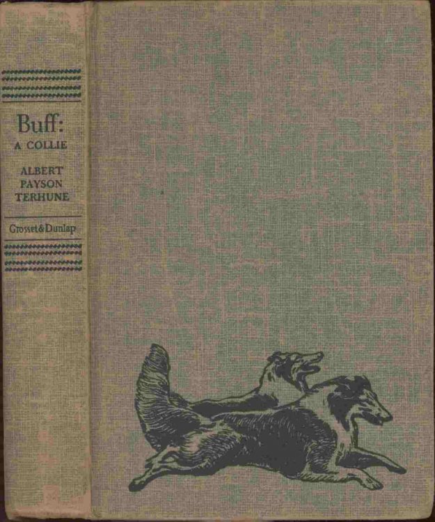 Buff: A Collie