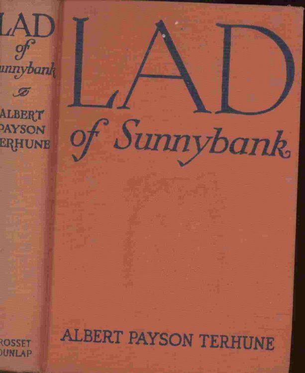 Lad of Sunnybank
