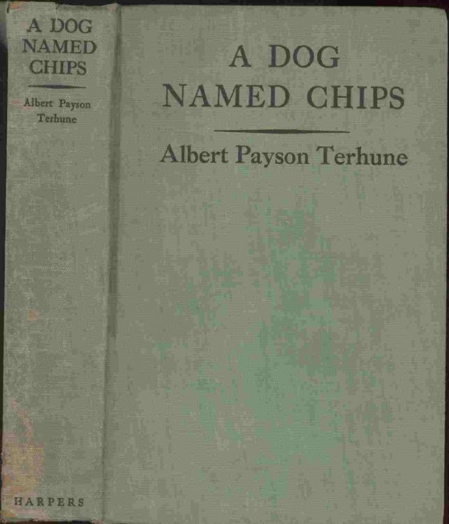 A Dog Named Chips