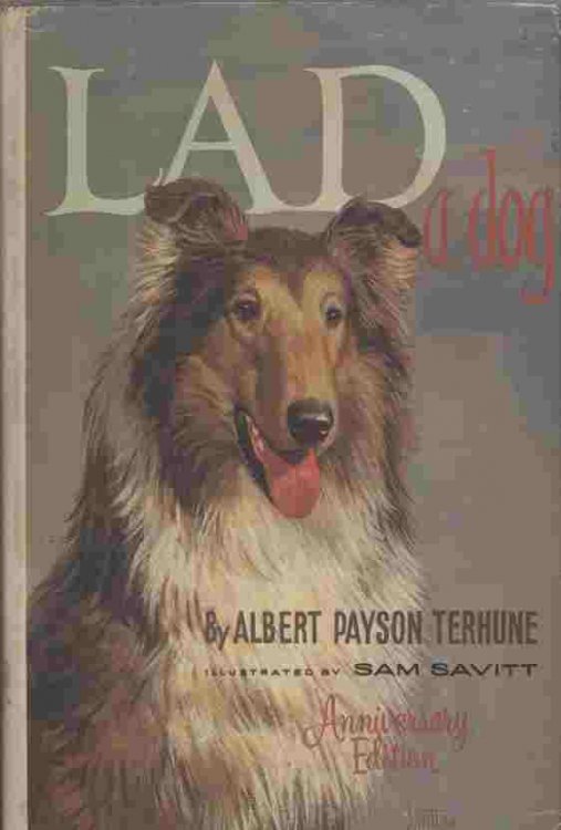 Lad - a Dog