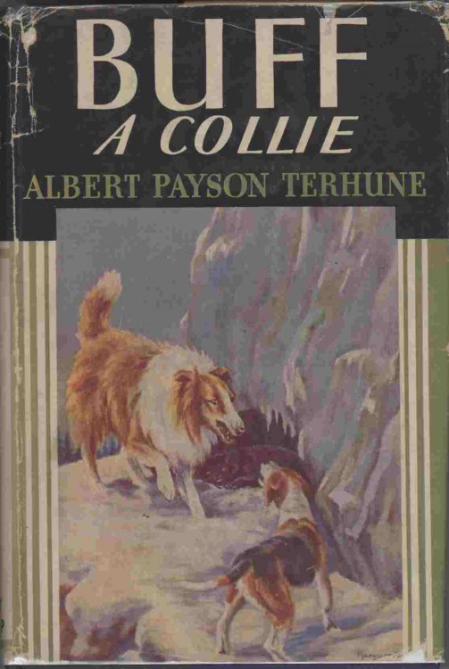 Buff - A Collie - And Other Dog Stories