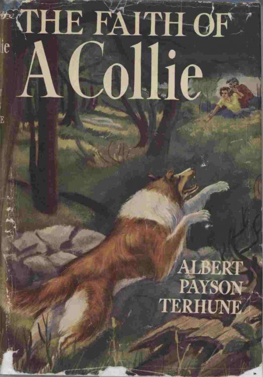 The Faith of a Collie