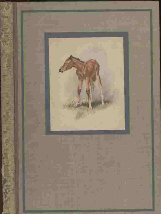 The Red Pony