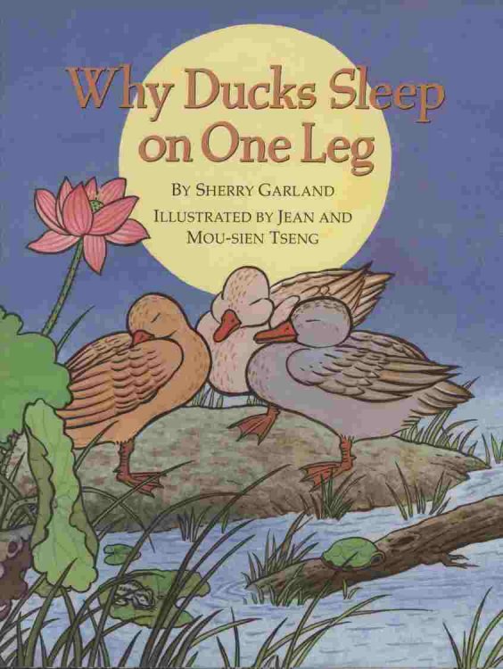 Why Ducks Sleep on One Leg