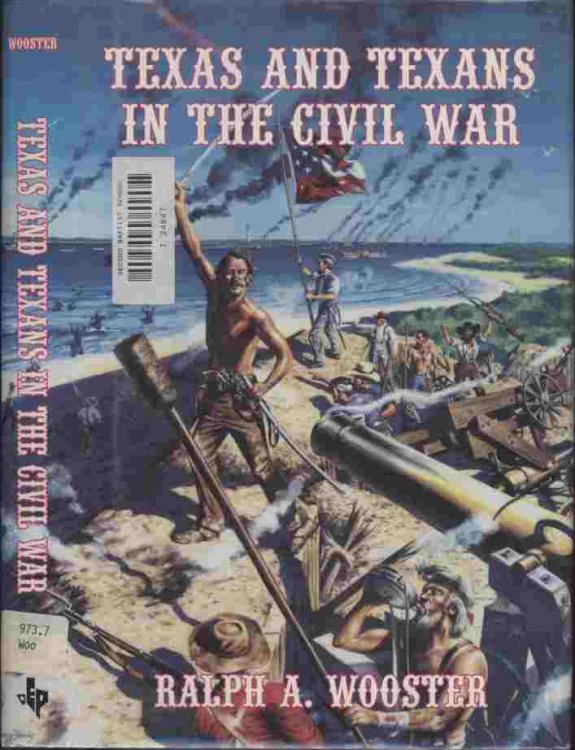 Texas and Texans in the Civil War -- Texan regiments such as the 8th Texas Cavalry (Terry's Texas Rangers), the infantry regiments in the Texas Brigades of John Bell Hood, Hiram J. Granbury and Matthew D. Ector won battle honors from the battlefields of Virginia to Louisiana.