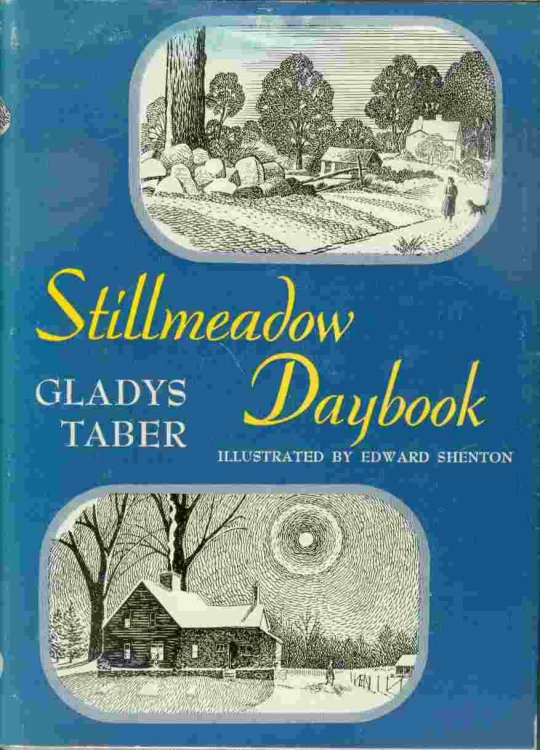 Stllmeadow Daybook