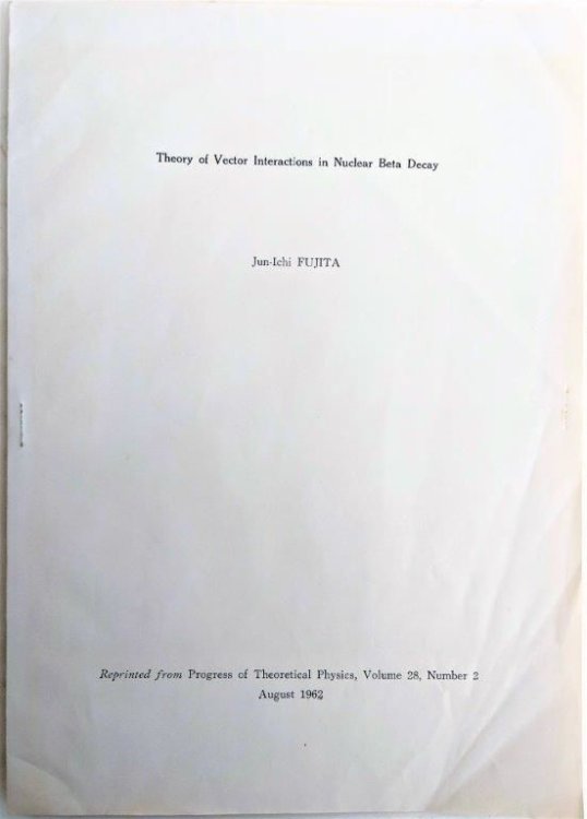Theory on Vector Interactions in Nuclear Beta Decay. [Offprint].