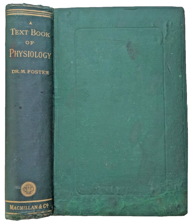 A Textbook of Physiology. Second edition, revised and enlarged.