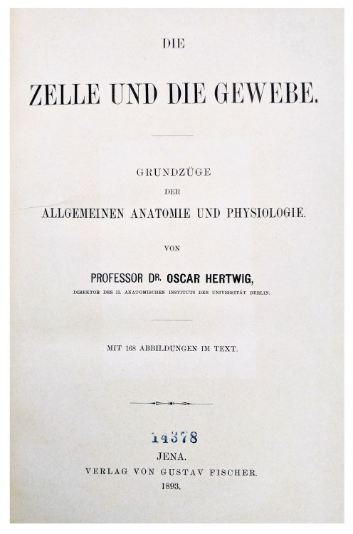 Die Zelle und die Gewebe. Grundzuge der allgemeinen Anatomie und Physiologie.