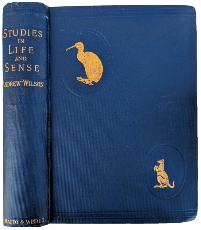 Studies in Life and Sense.