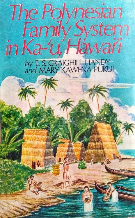 The Polynesian Family System in Ka-'u, Hawai'i.