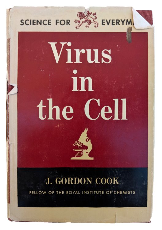 Virus in the Cell.