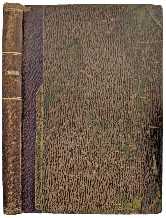 [10 scientific papers]. Zur Theorie der aus n Haupteinheiten gebildeten complexen Grossen. Sachs, K. Berichte der K. Sachs. Gesellschaft der Wissenschaften mathematisch-physiche classe.