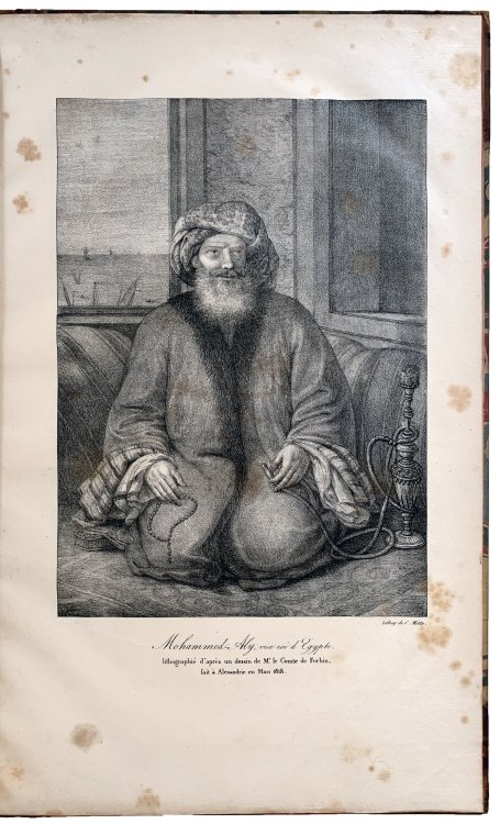Histoire de l'Egypte sous le gouvernement de Mohammed-Aly, ou recit des Evenements Politiques et Militaires qui ont eu lieu depuis le Depart des Francais jusqu'en 1823.