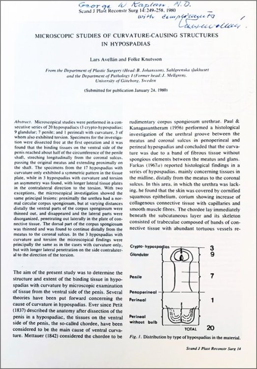 Microscopic Studies of Curvature-Causing Structures in Hypospadias. [Offprint].