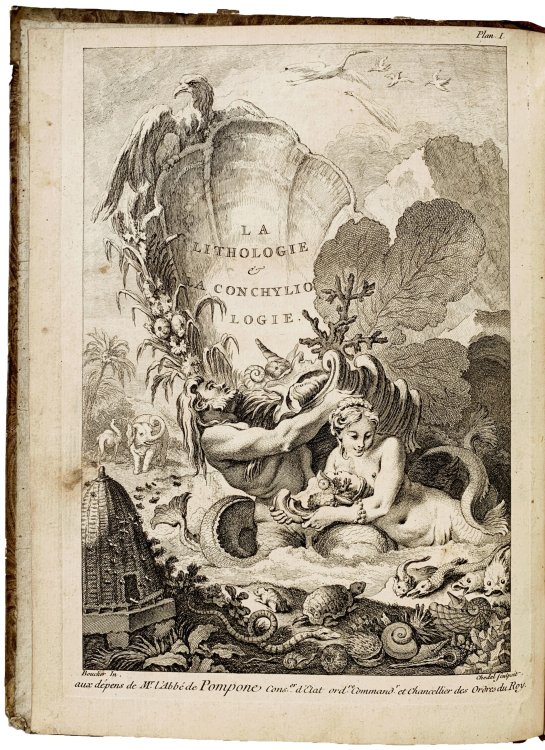 Image for L'Histoire naturelle eclaircie dans deux de ses parties principales, la Lithologie et la Conchyliologie, dont l'une traite des pierres et l'autre des coquillages. Ouvrage dans lequel on trouve une nouvelle methode & une notice critique des principaux auteurs qui ont ecrit sur ces matieres. L'Histoire naturelle eclaircie dans deux de ses parties principales, la Lithologie et la Conchyliologie, dont l'une traite des pierres et l'autre des coquillages. Ouvrage dans lequel on trouve une nouvelle methode & une notice critique des principaux auteurs qui ont ecrit sur ces matieres.