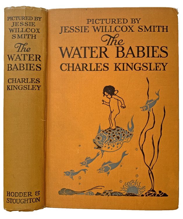 Image for The Water Babies. Illustrated by Jessie Willcox Smith. The Water Babies. Illustrated by Jessie Willcox Smith.