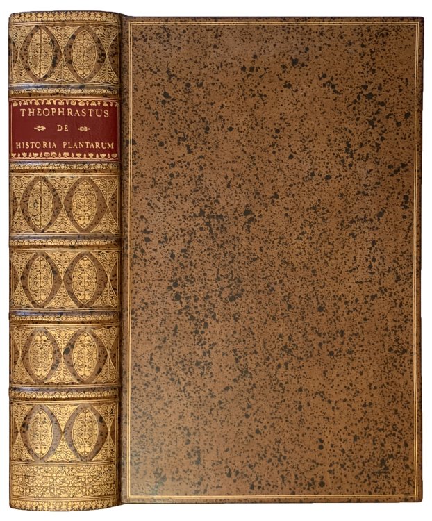 Theophrasti Eresii. De Historia Plantarum liber decem, Graece & Latine. In quibus Textum Graecum variis Lectionibus, emendationibus, hiulcorum supplementis: Latinam Gazae versionem nova interpretatione ad margines: totum Opus absolutissimis cum Notis tum Commentariis: item rariorum Plantarum iconibu