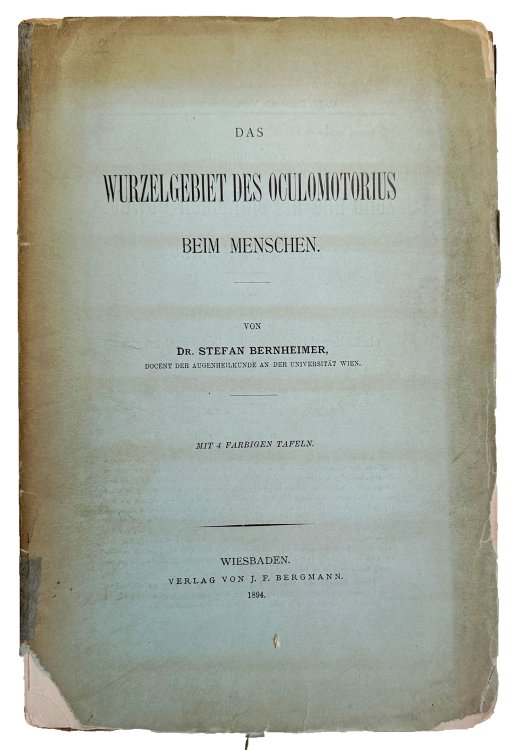 Das Wurzelgebiet des Oculomotorius beim Menschen.