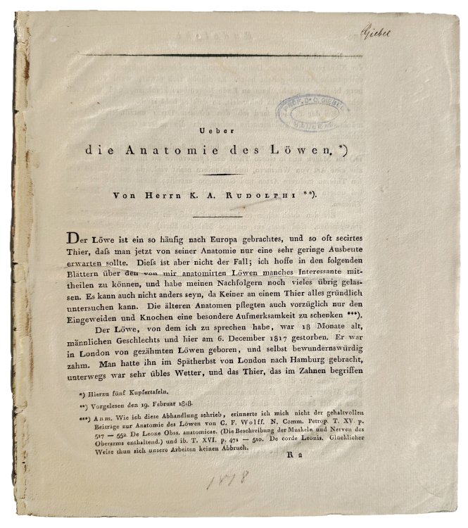 Ueber die Anatomie des Lowen gelesen in der Akademie der Wissenschaften zu Berlin den 19. Februar 1818.