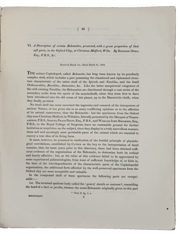A description of certain belemnites, preserved, with a great proportion of their soft parts, in the Oxford clay, at Christian-Malford, Wilts. In: Philosophical Transactions of the Royal Society of London. For the year MDCCCXLIV.