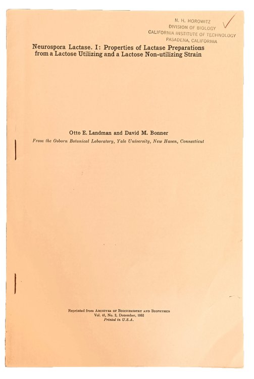 [Group of 2 offprints]. Includes: BONNER, & Otto E. LANDMAN. 