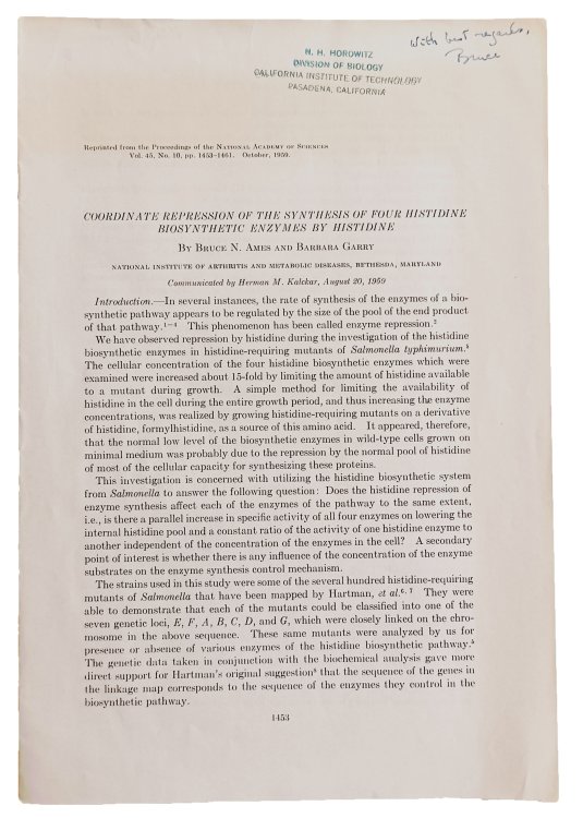 Group of 5 papers. Includes: AMES, & Barbara GARRY. 