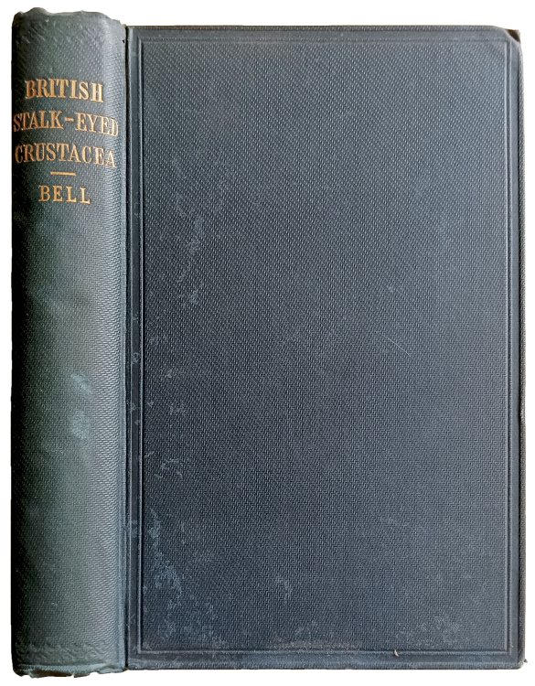 Image for A History of the British Stalk-Eyed Crustacea. A History of the British Stalk-Eyed Crustacea.
