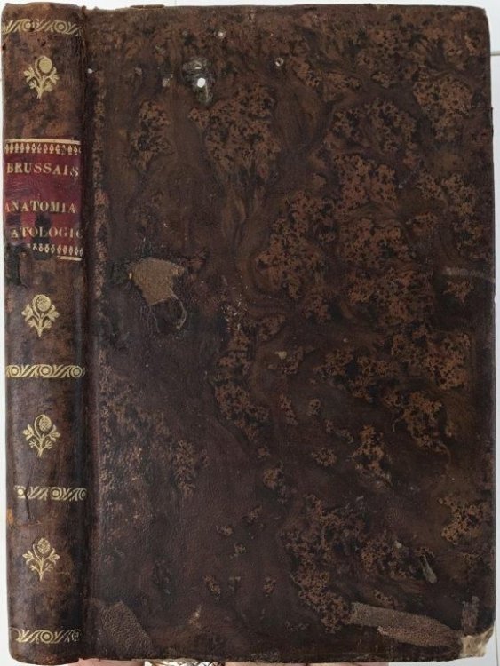 Principios de la medicina fisiologica, y examen de la anatomia patologica y de algunas doctrinas nuevas. Traducida libremente al Espanol por un meedico de esta corte.