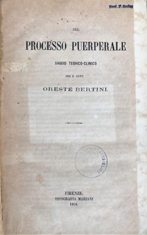 Del processo puerperale. Saggio teorico-clinco.