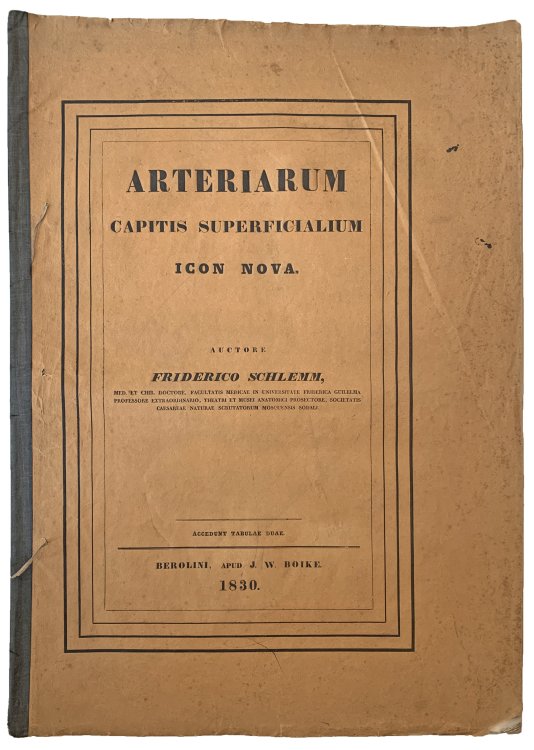 Arteriarum capitis superficialium icon nova.