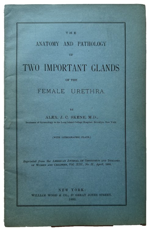 The anatomy and pathology of two important glands of the female urethra.