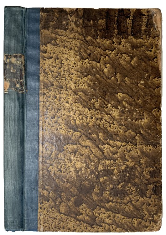 A Treatise on Consumption; Embracing an Inquiry into the Influence Exerted Upon it by Journeys, Voyages and Change of Climate. With Directions for the Consumptive Visiting the South of Europe, and Remarks Upon its Climate.