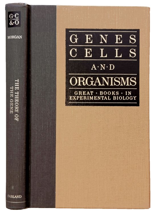 The theory of the gene.