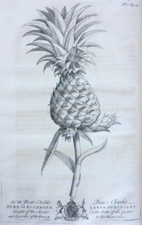 The Natural History of Barbados. In Ten Books.
