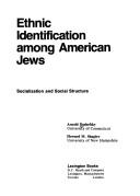 Image for Ethnic identification among American Jews: Socialization and social structure Ethnic identification among American Jews: Socialization and social structure