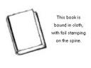Beyond Visual Perspective