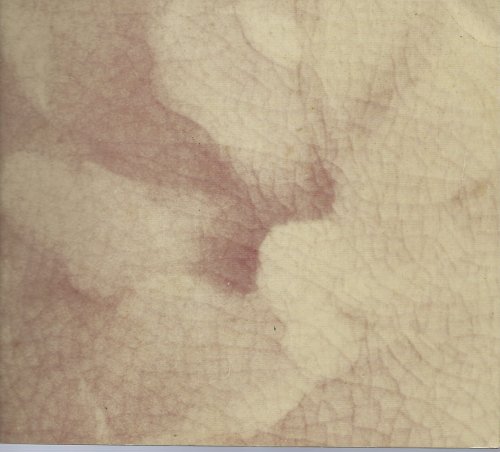 Nov. 11 - Dec. 15, 1977; OVERGLAZE IMAGERY CONE 019-016