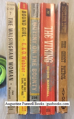 An AFB 5-book historical fiction multi-pack: THE GHOST PATROL And Other Stories, The Viking, Mutiny on the Bounty, Bound Girl, The Walsingham Woman