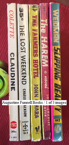 An AFB 5-book fiction multi-pack: Claudine, The Lost Weekend, The Farmer's Hotel, The Harem, Slipping Beauty