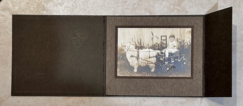 Young girl with small decorated carriage pulled by a long-haired goat; Pasadena 1928