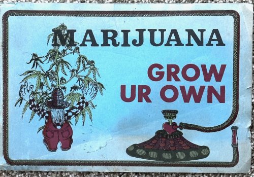 Marijuana: Grow Ur Own; The Cultivator's Handbook of Marijuana