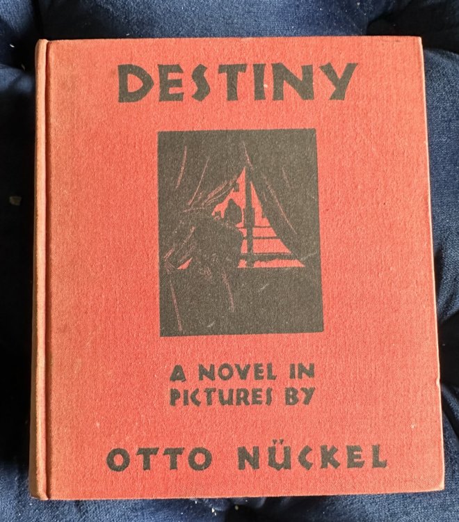 Destiny / A Novel in Pictures